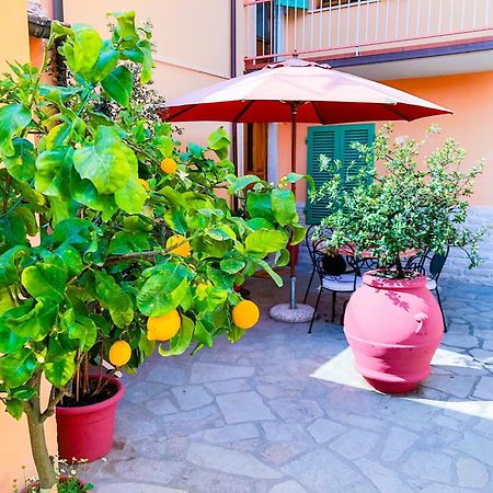 Cuore Di Nozzano Castello 卢卡 外观 照片